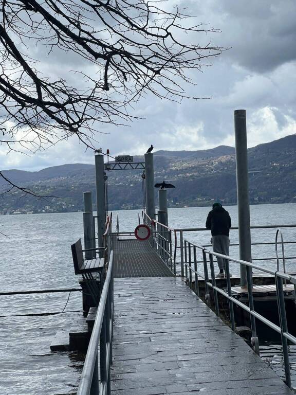 Ispra - Lago Maggiore 1° aprile 2024