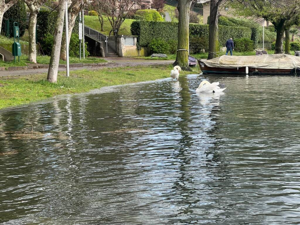 Ispra - Lago Maggiore 1° aprile 2024