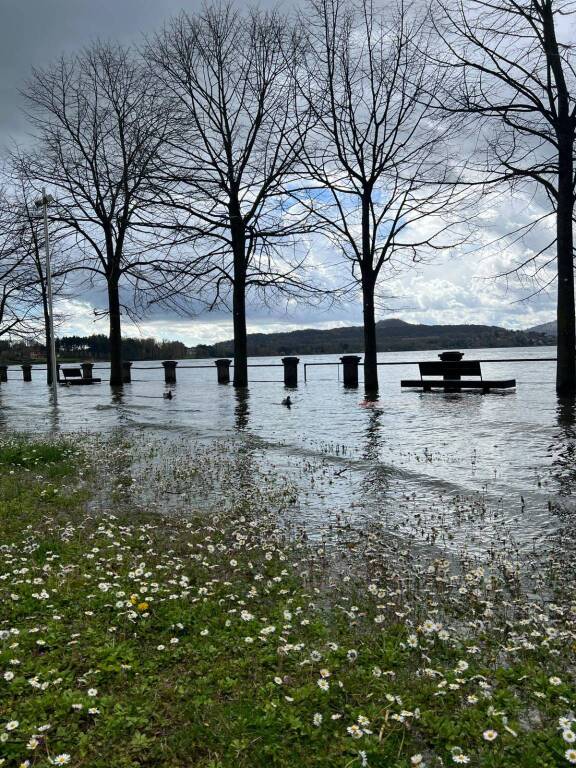 Ispra - Lago Maggiore 1° aprile 2024