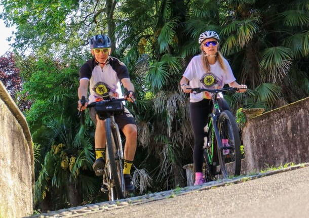 varese van vlaanderen