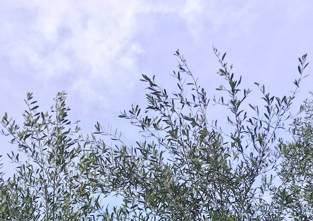 Il racconto della domenica