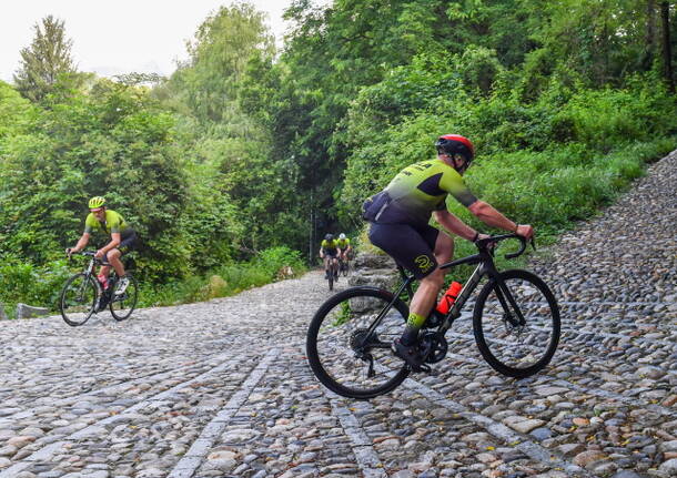 varese van vlaanderen 2024