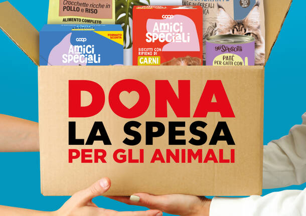 Generico 01 Jul 2024