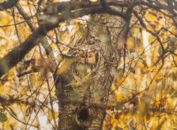 Generico 01 Jul 2024