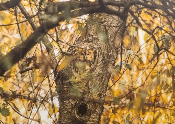 Generico 01 Jul 2024