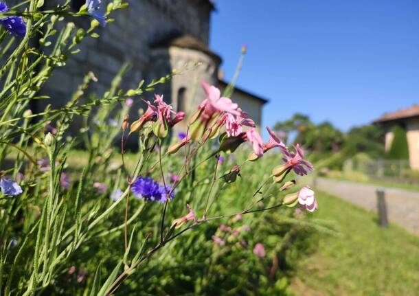 Generico 15 Jul 2024