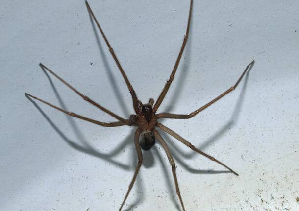 Generico 29 Jul 2024