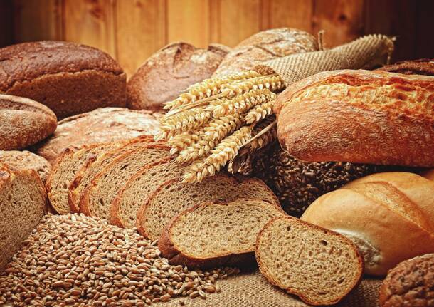 Pane generiche