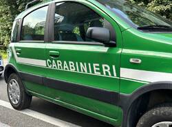 carabinieri forestali 