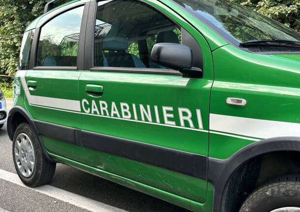 carabinieri forestali