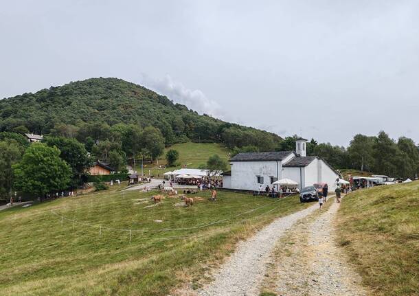 Il ferragosto 2024 in Forcora