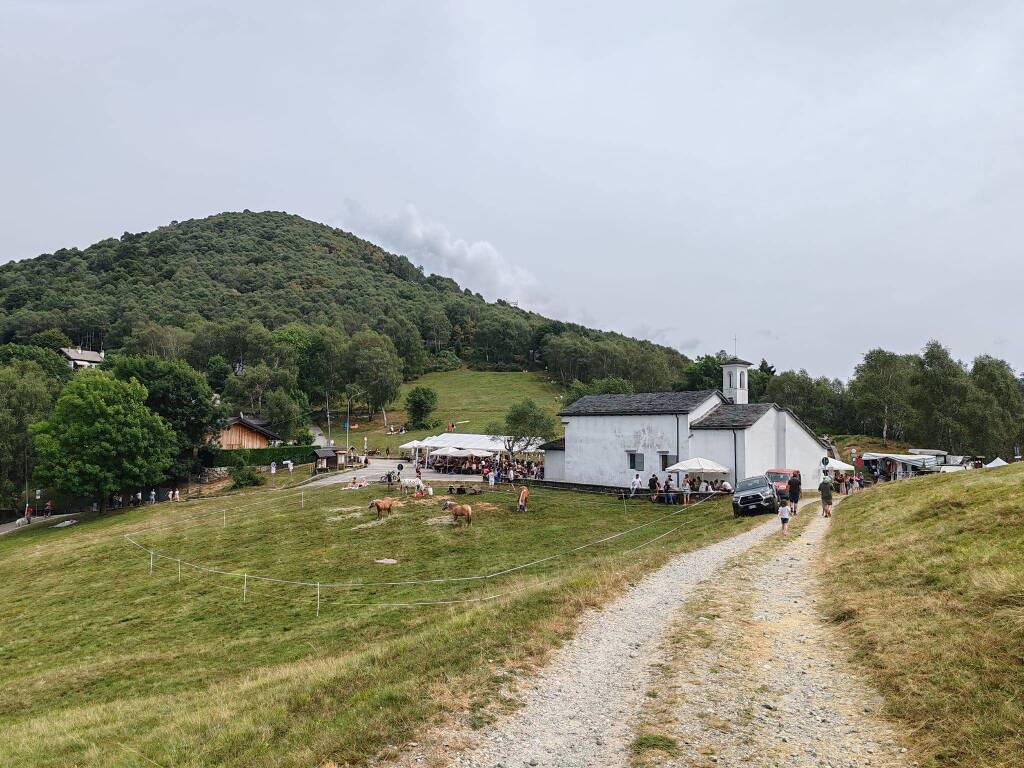 Il ferragosto 2024 in Forcora