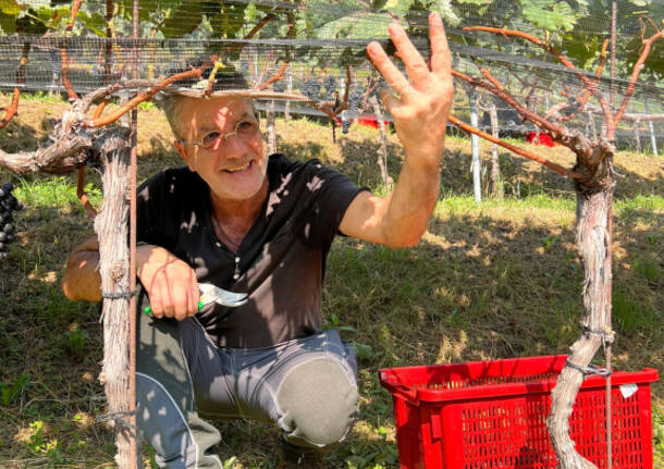 EVENTO BENEFICO VINO \"Il COLLEGIATA\"