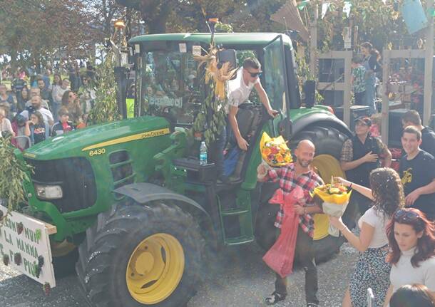 Festa dell'Uva di Angera: la sfilata dei carri