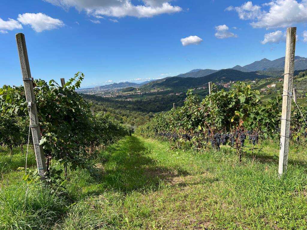 Coop via delle sorelle