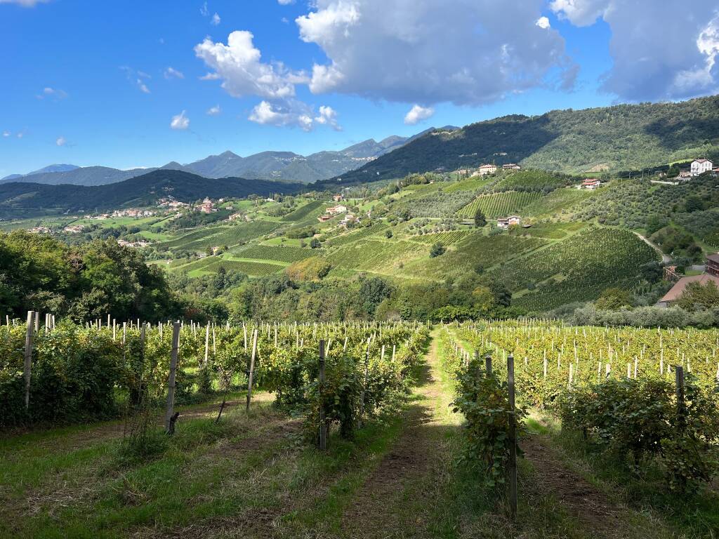 Coop via delle sorelle