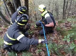 Escursionista Castelveccana 