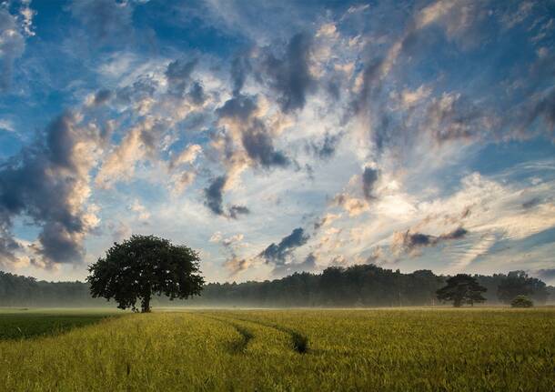 Generico 07 Oct 2024