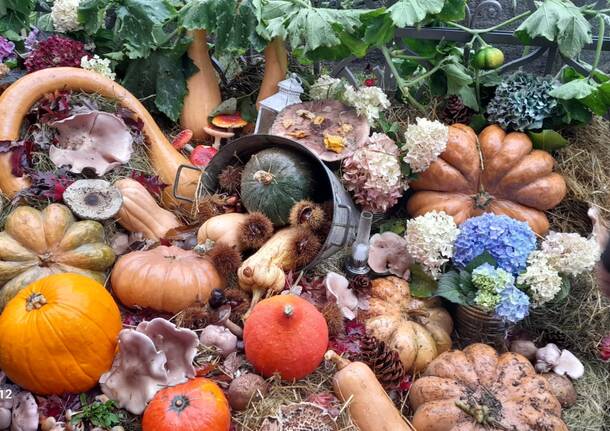 La sagra della Zucca di Agra 