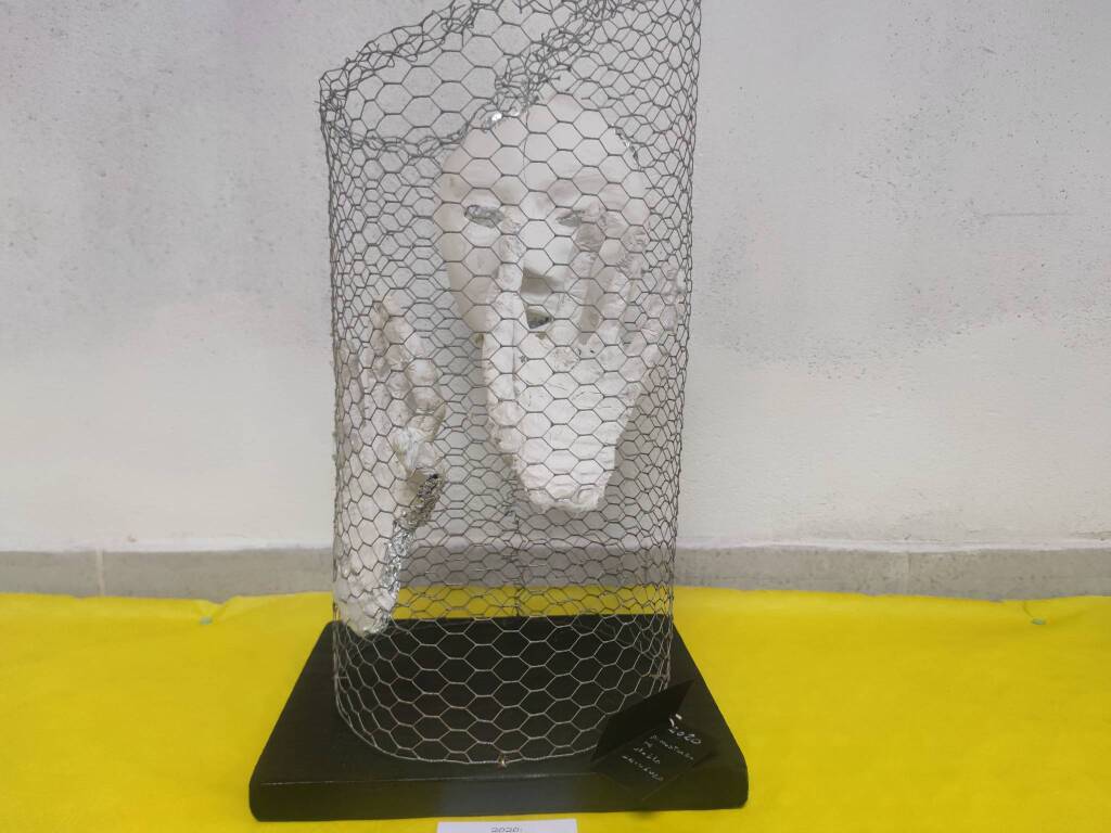 Paola Manfrinotti Soara di Angera