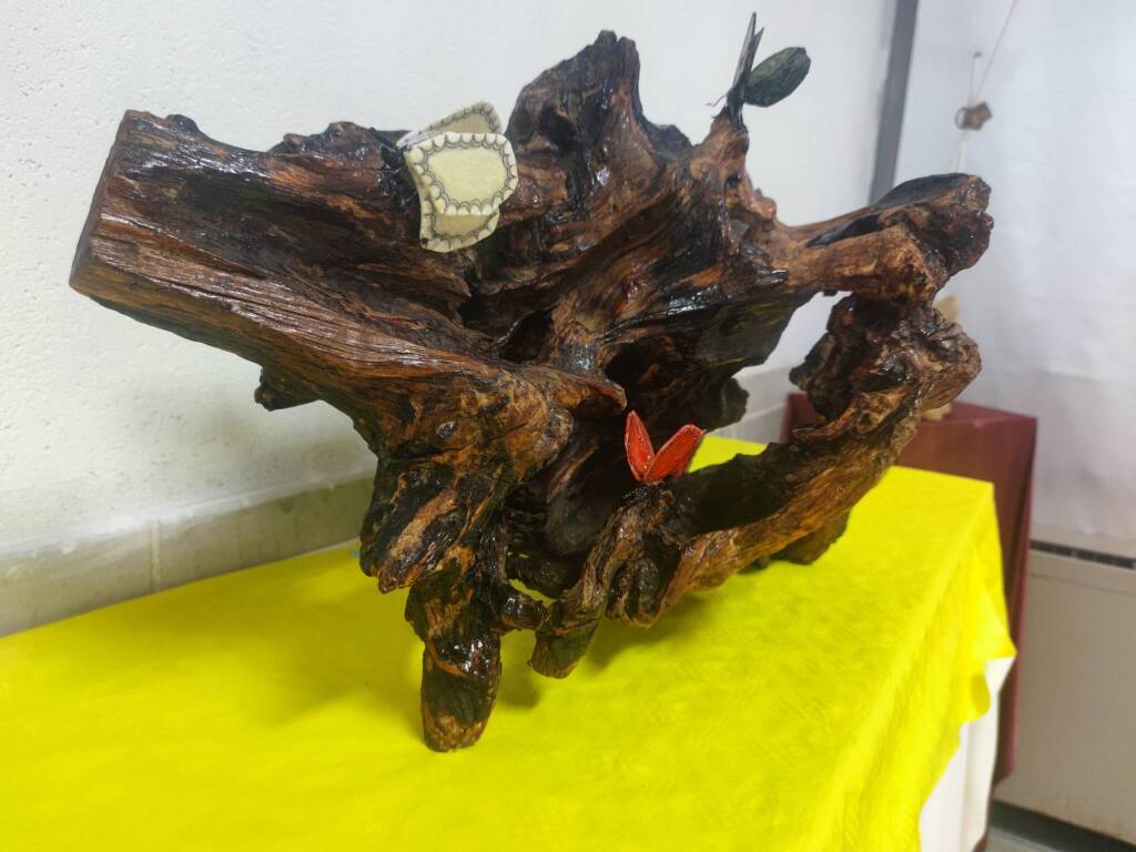 Paola Manfrinotti Soara di Angera