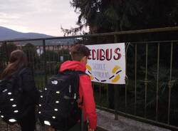 pedibus cittiglio bike&walk