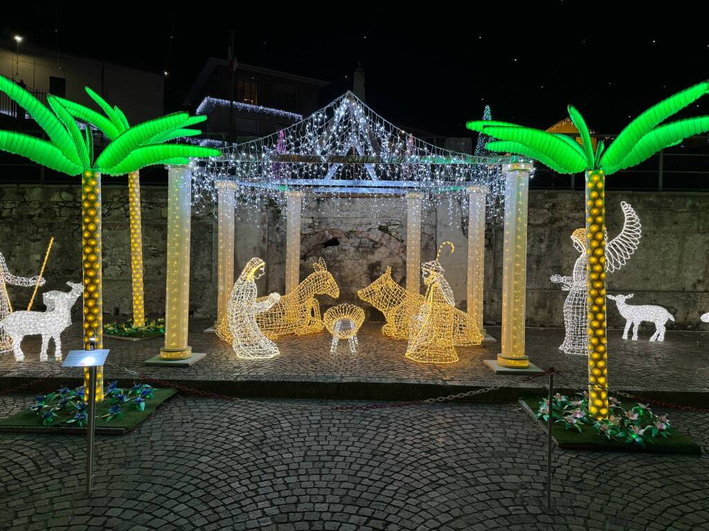 Le Lucine di Leggiuno 2024 - Le foto 