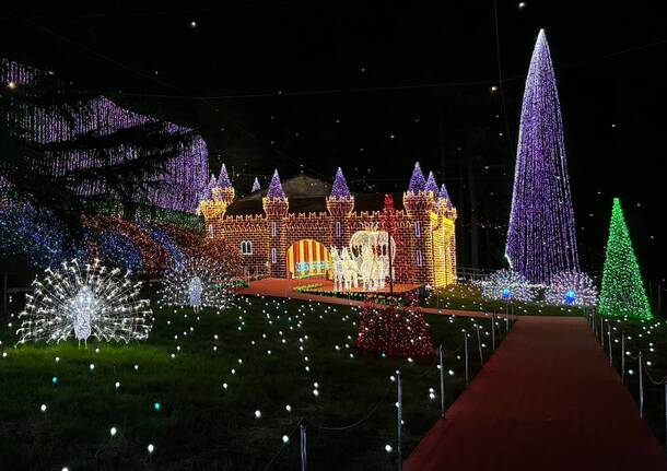 Le Lucine di Leggiuno 2024 - Le foto 