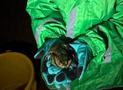 Generico 24 Feb 2025