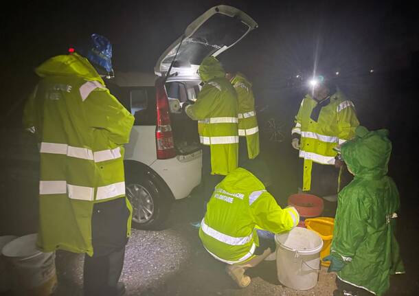 Generico 24 Feb 2025