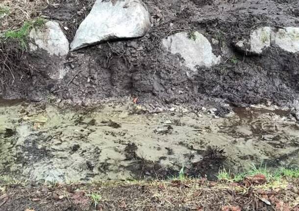 torrente rialto laveno mombello