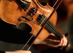 violino
