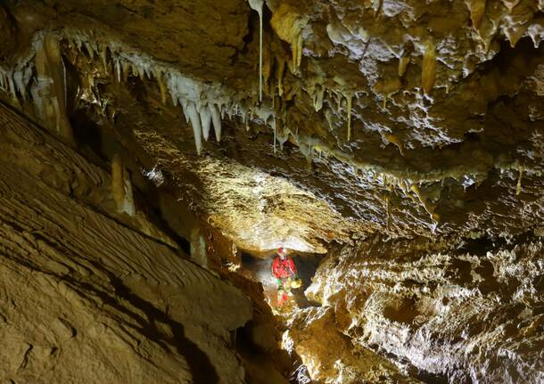 UNA SERATA IN ERBORISTERIA PER SCOPRIRE LE GROTTE DEL CAMPO DEI FIORI