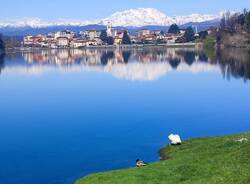 Primavera a Sesto Calende