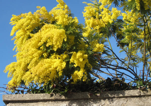 Generico 03 Mar 2025