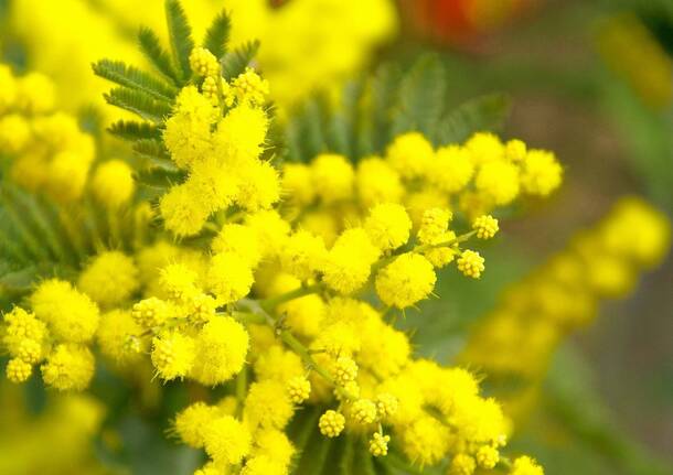 Generico 03 Mar 2025