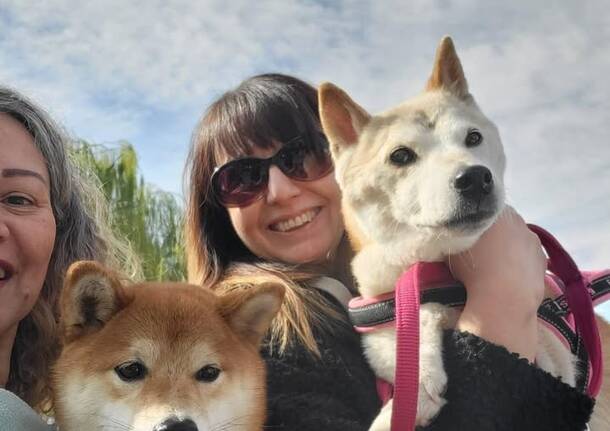 Il raduno degli shiba inu arriva a Ispra