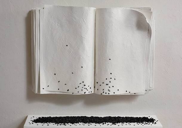 La mostra personale di Lorenzo e Simona Perrone da Punto sull'Arte a Varese