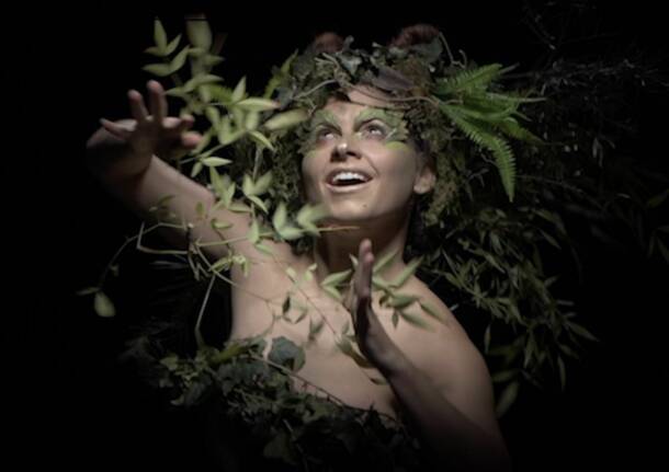 La Porta delle Amadriadi foto di luca roncalli