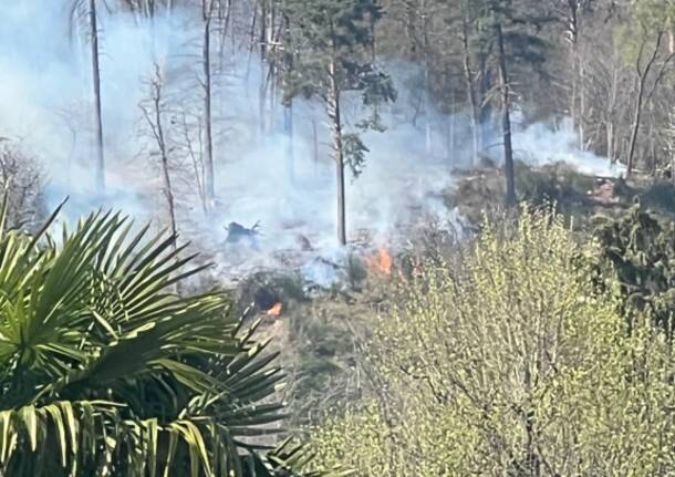 Incendio boschivo al Montallegro, Induno Olona