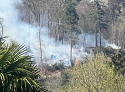 Incendio boschivo al Montallegro, Induno Olona