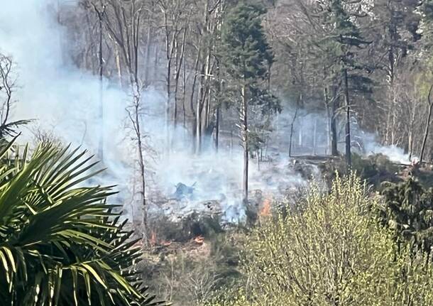 Incendio boschivo al Montallegro, Induno Olona