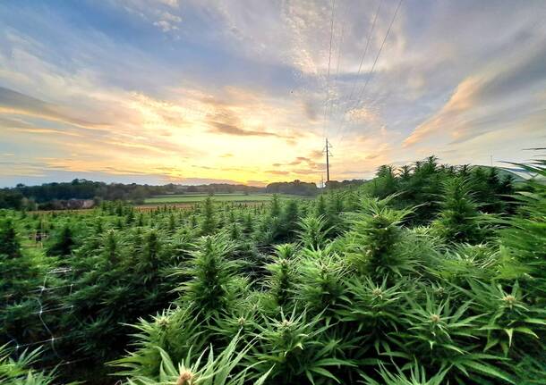 Generico 07 Apr 2025