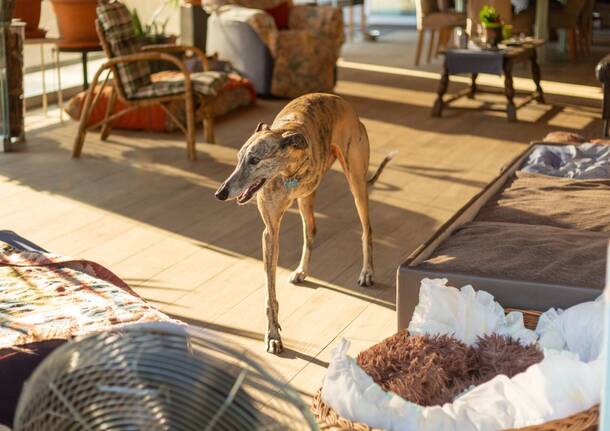 Generico 31 Mar 2025