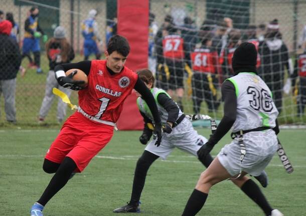 gorillas varese flag football