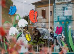 vetrine fiorite ispra - foto leone luraghi