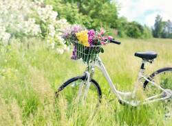 bici fiori primavera bicicletta - foto pixabay