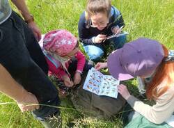 bio blitz angera 