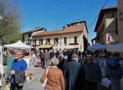 Castiglione Olona - Fiera del Cardinale