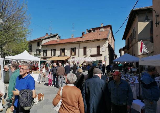 Castiglione Olona - Fiera del Cardinale